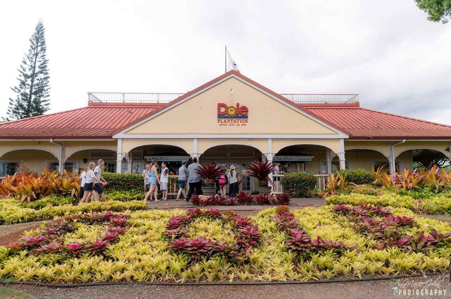 5 Things to Do at the Dole Plantation with Your Family