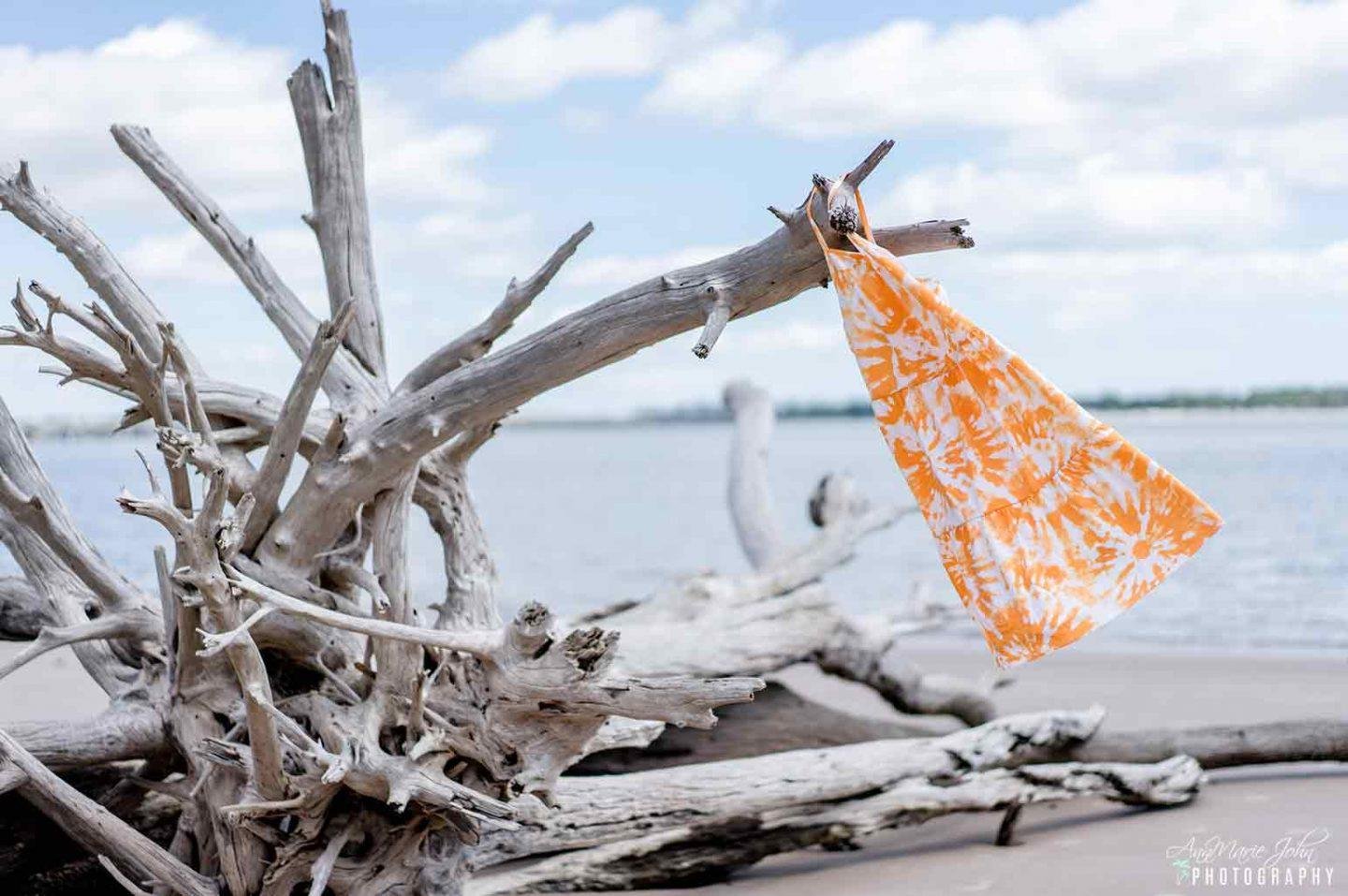 10 Reasons to Visit Jacksonville, FL ~ #OnlyInJax