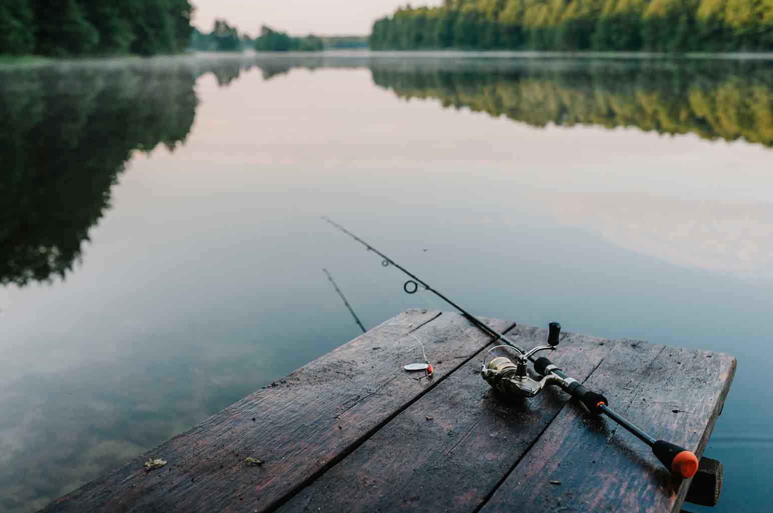 4 Useful Tips To Help You Improve Your Fishing Skills - AnnMarie John
