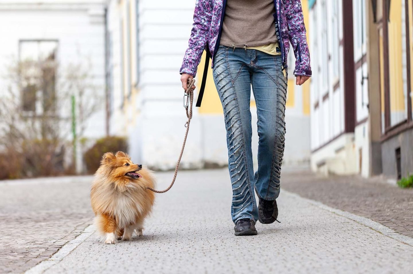 6 Things to Look Out For in a Pet Sitter