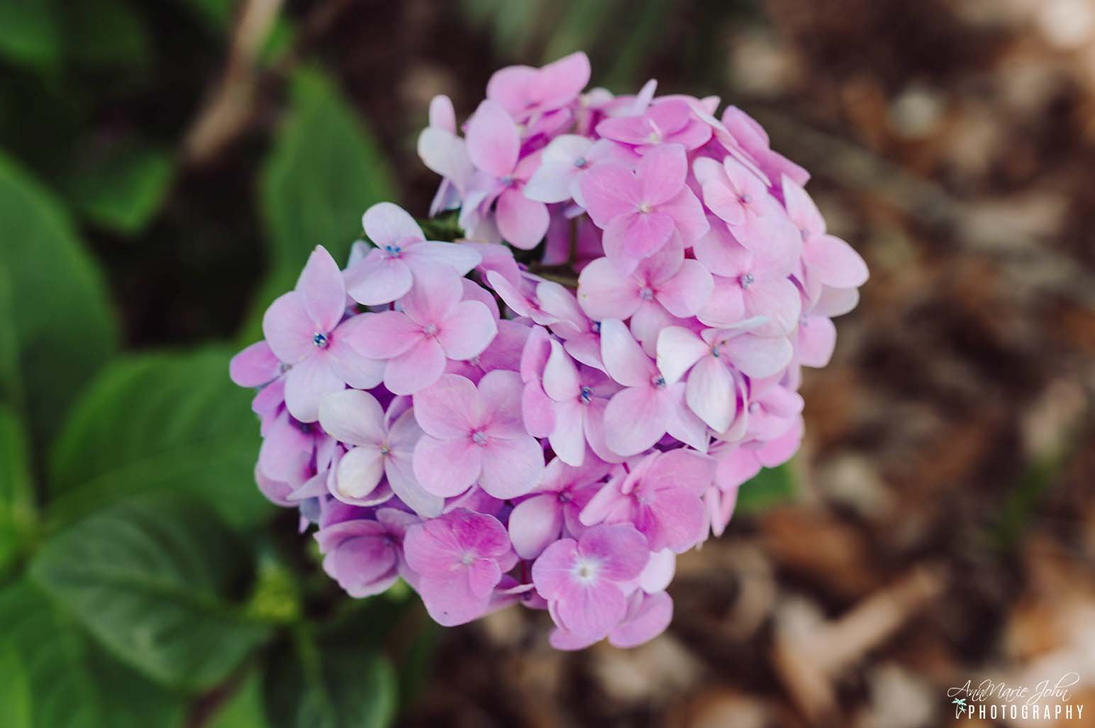 What To Do If You Think You Might Benefit From Counseling