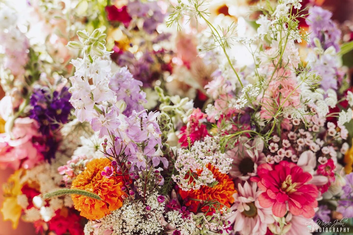 A 6-Step Guide To Growing Wildflowers