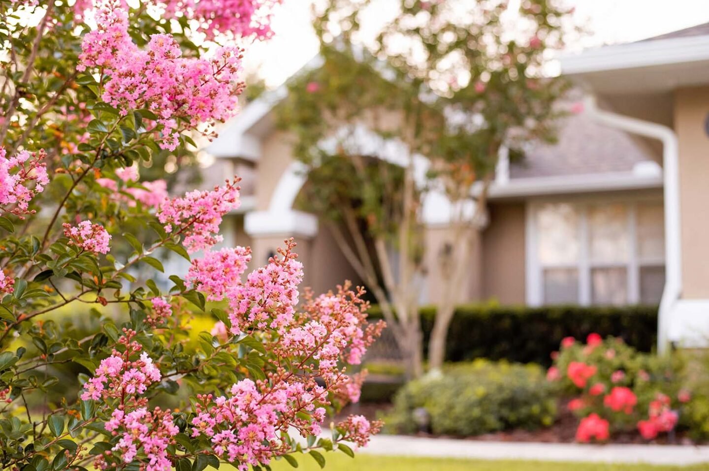 Top Ways to Easily Improve Your Garden