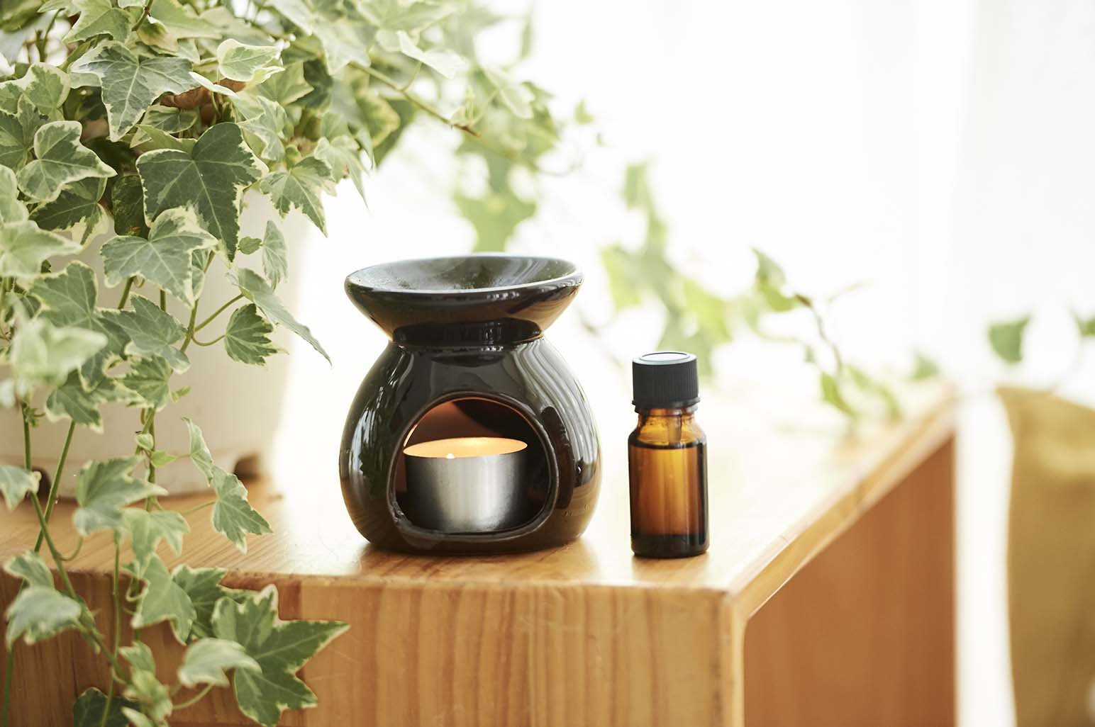What Are the Benefits of Diffusing Tea Tree Oil