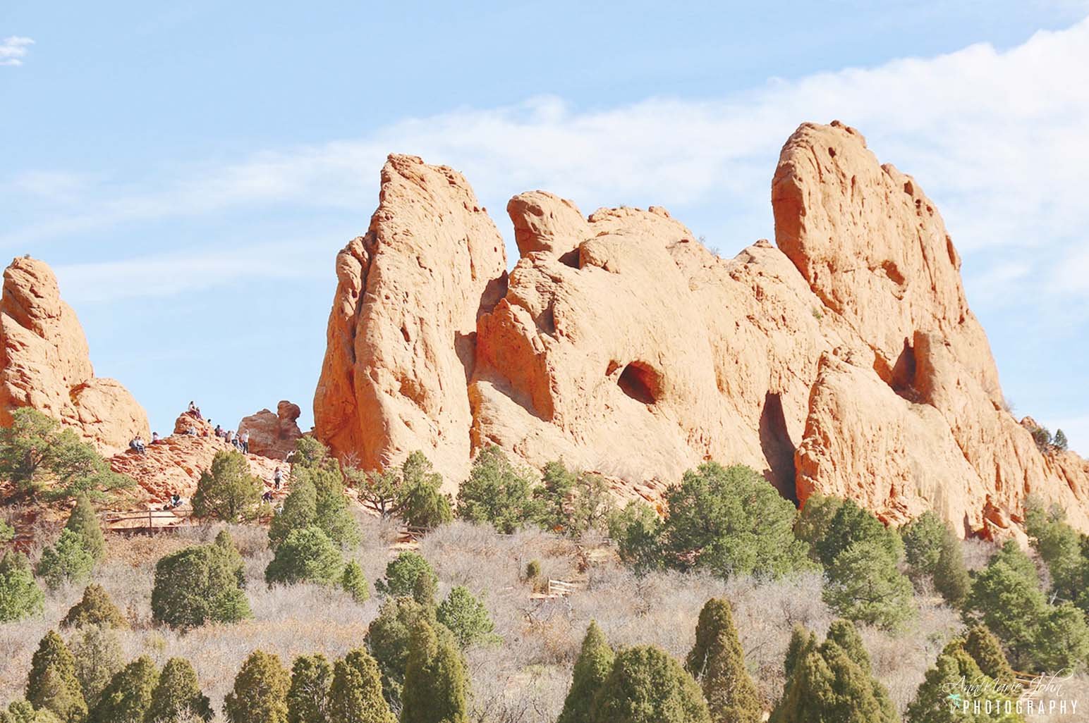 seafood colorado springs garden of the gods