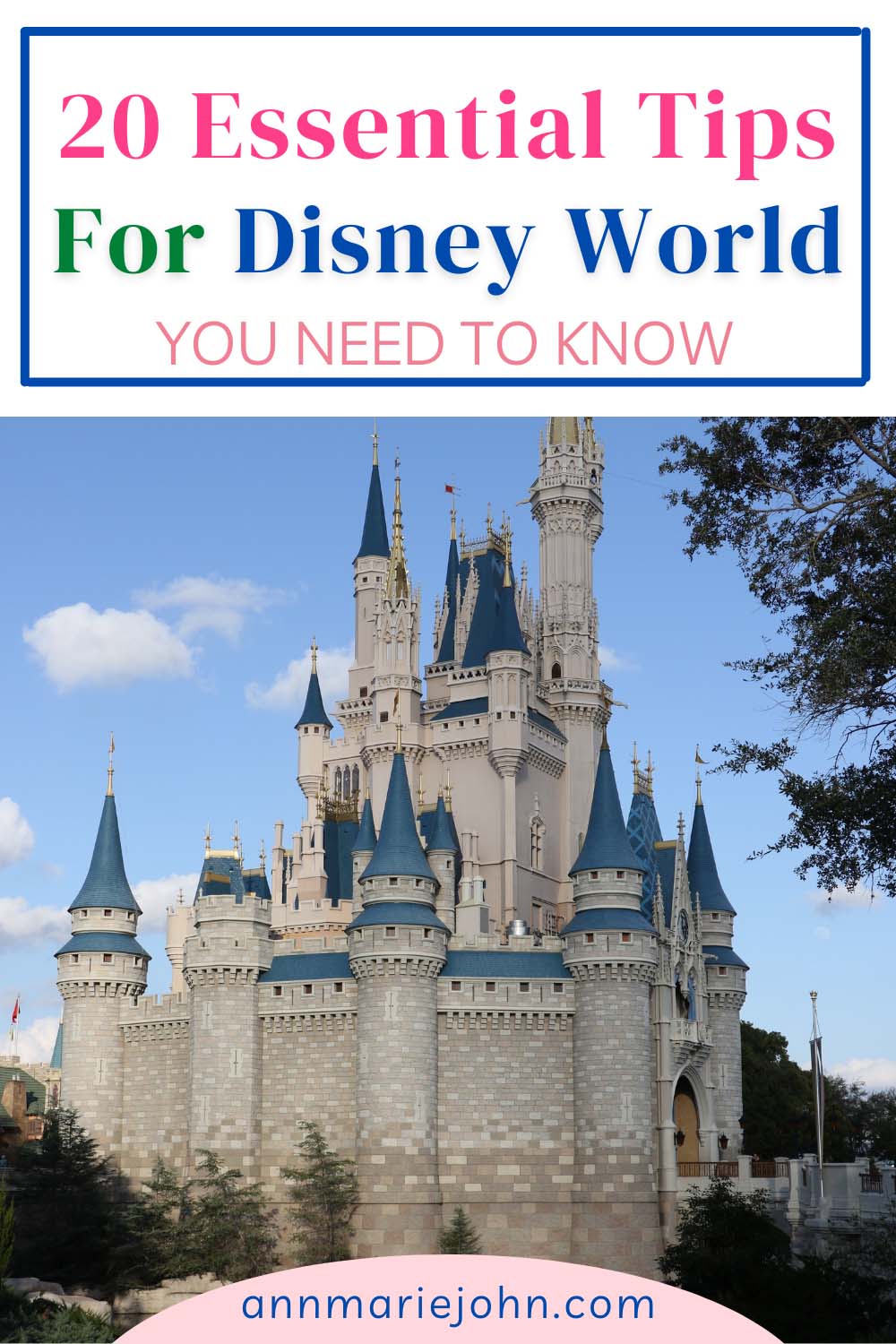 Disney World Tips