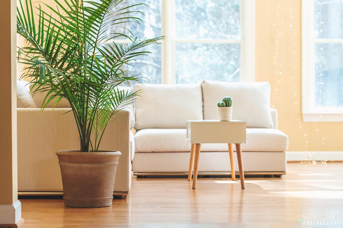 6 Advice For Plant Growing