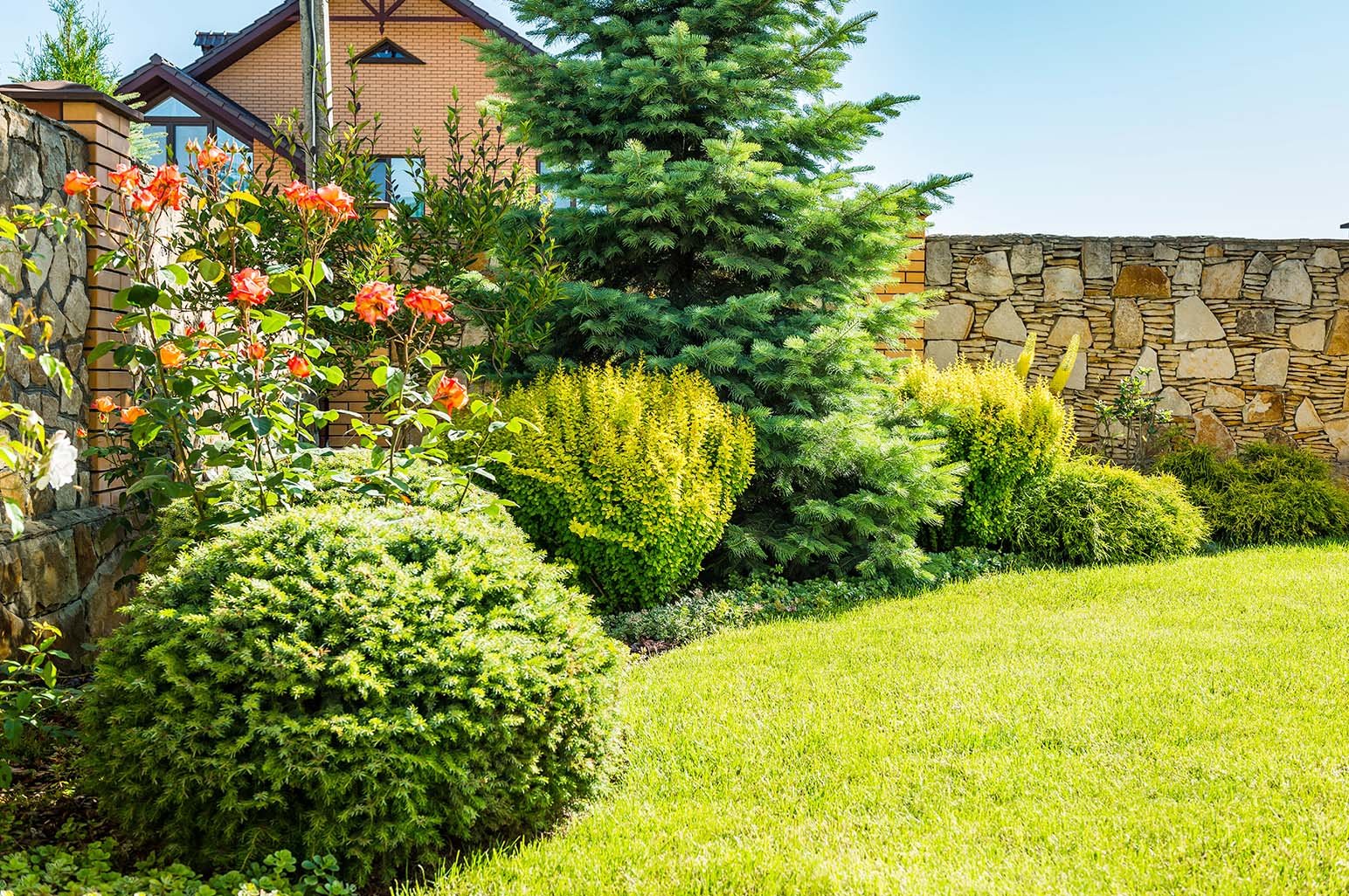 Home Improvement Garden