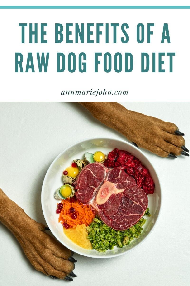 The Benefits of a Raw Dog Food Diet - AnnMarie John