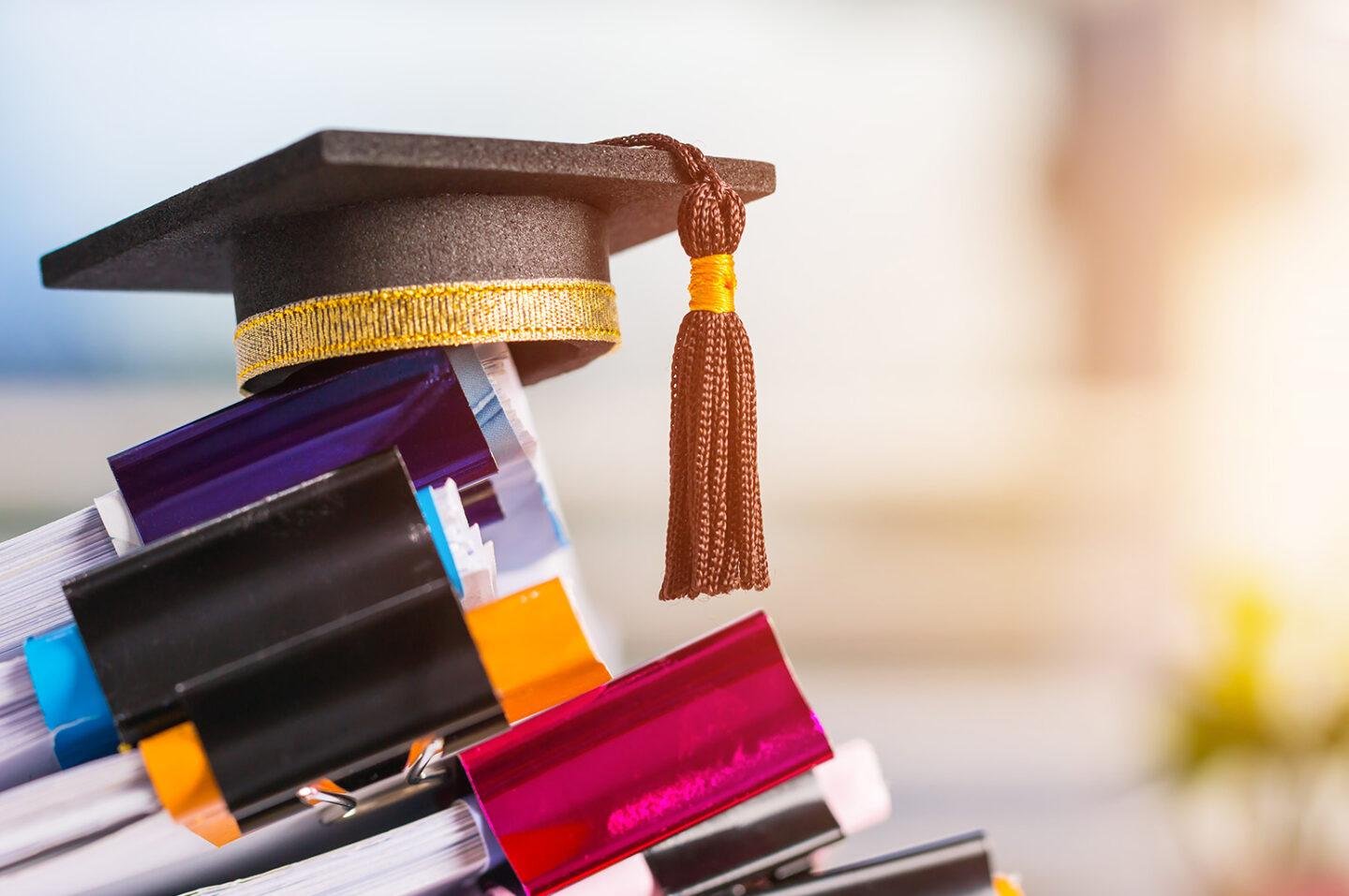 Pursuing Higher Education in the Business Domain: A Complete How-to Guide