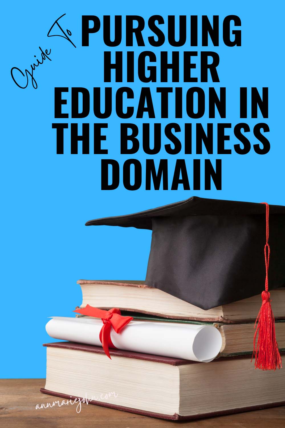 Pursuing Higher Education in the Business Domain
