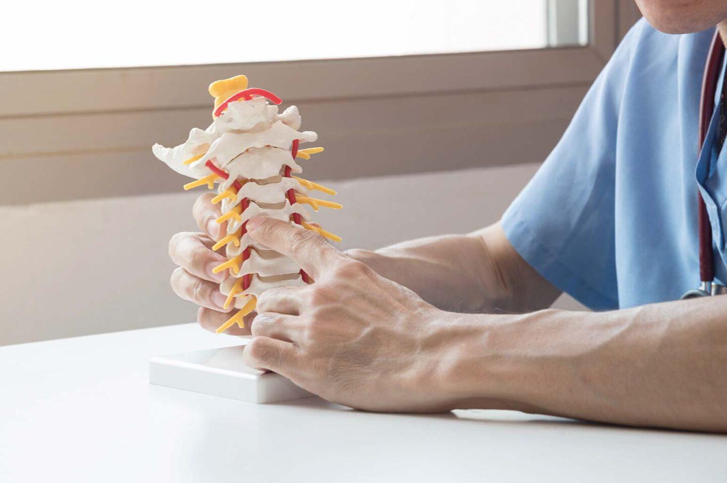 Spine Surgeon