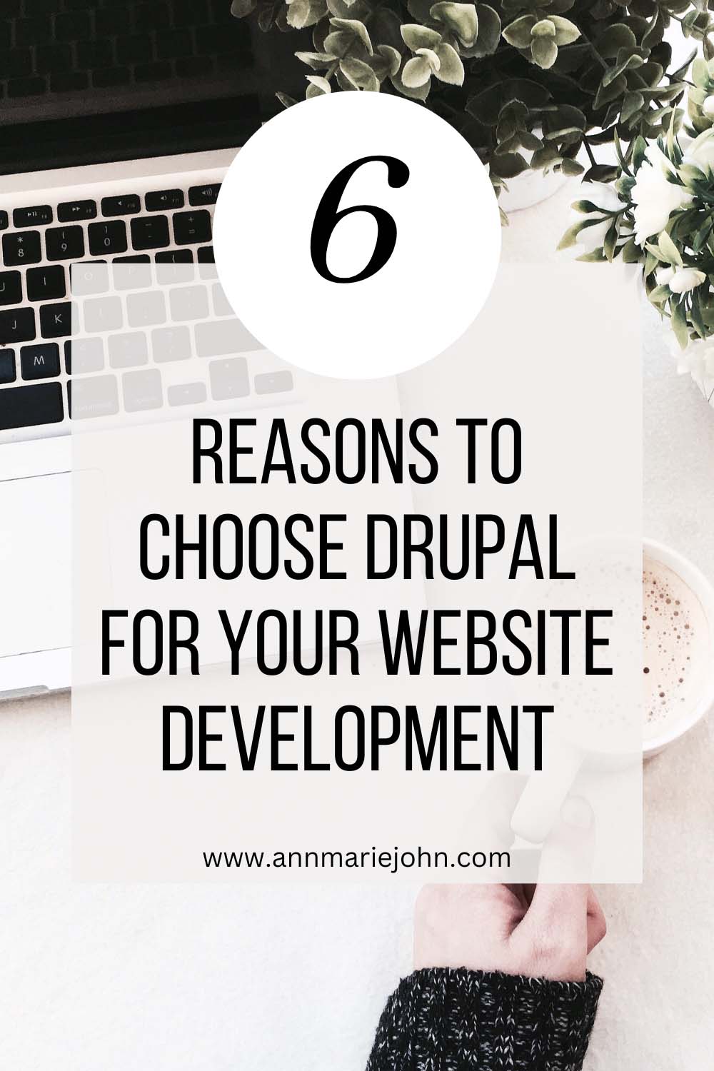 Reasons To Choose Drupal For Your Website Development