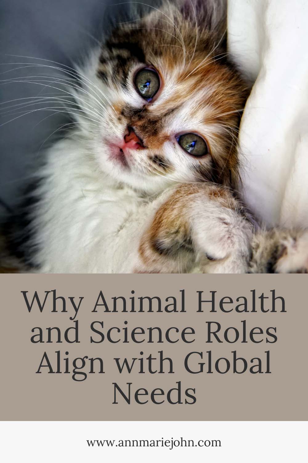 Why Animal Health and Science Roles Align with Global Needs