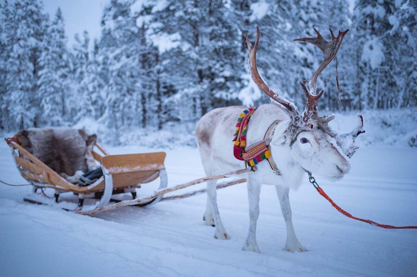 Lapland