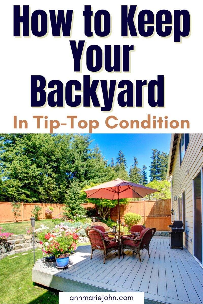 How to Keep Your Backyard in Tip-Top Condition - AnnMarie John