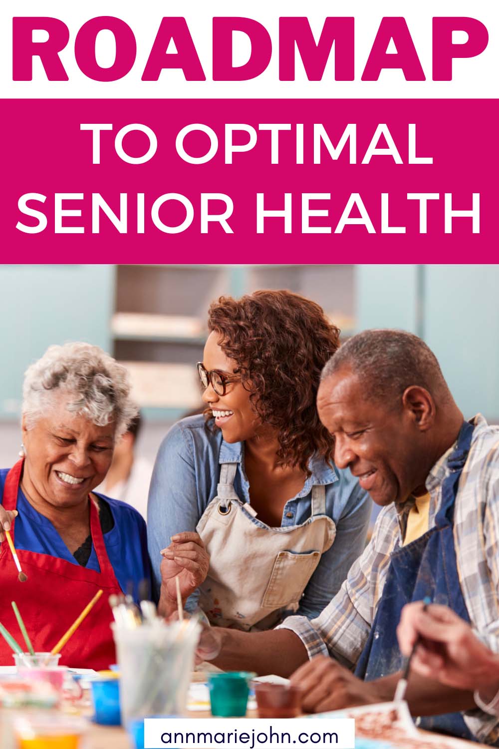 Roadmap to Optimal Senior Health