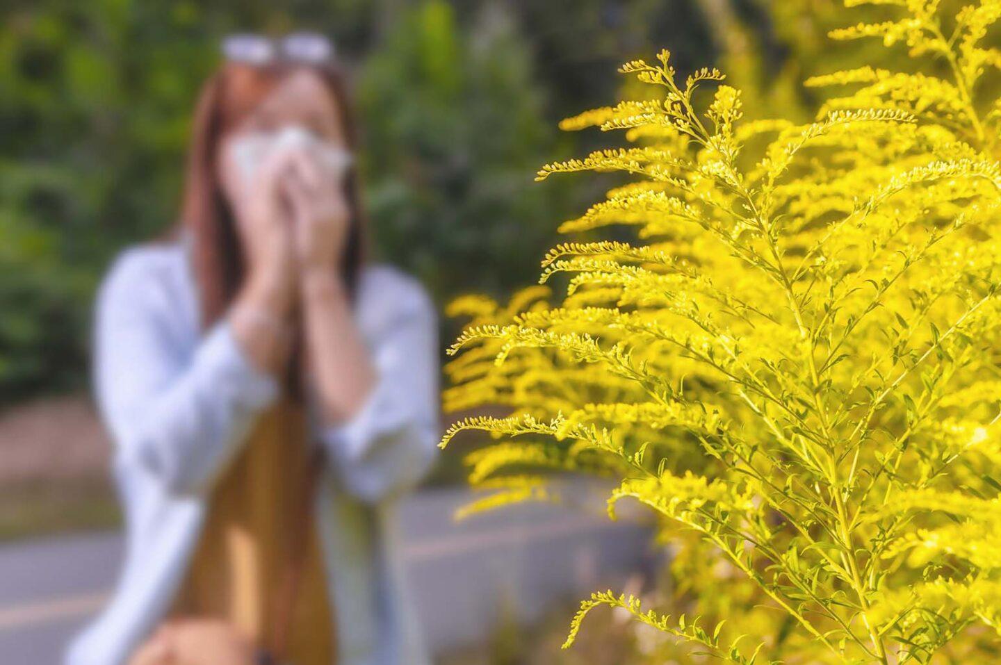 7 Essential Information Every Allergy Sufferer Should Know Before Traveling