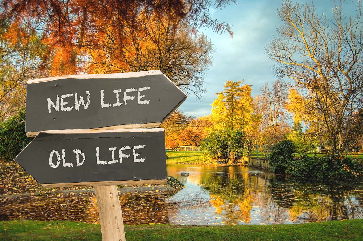 Thriving Through Transition 6 Tips To Embrace Life S Changes